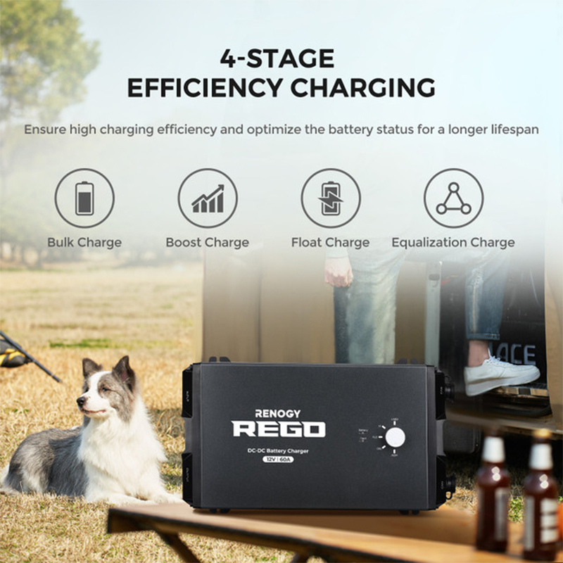 RENOGY REGO | REGO 12V 60A DC-DC Battery Charger